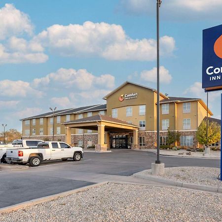Comfort Inn&Suites Artesia Exterior foto