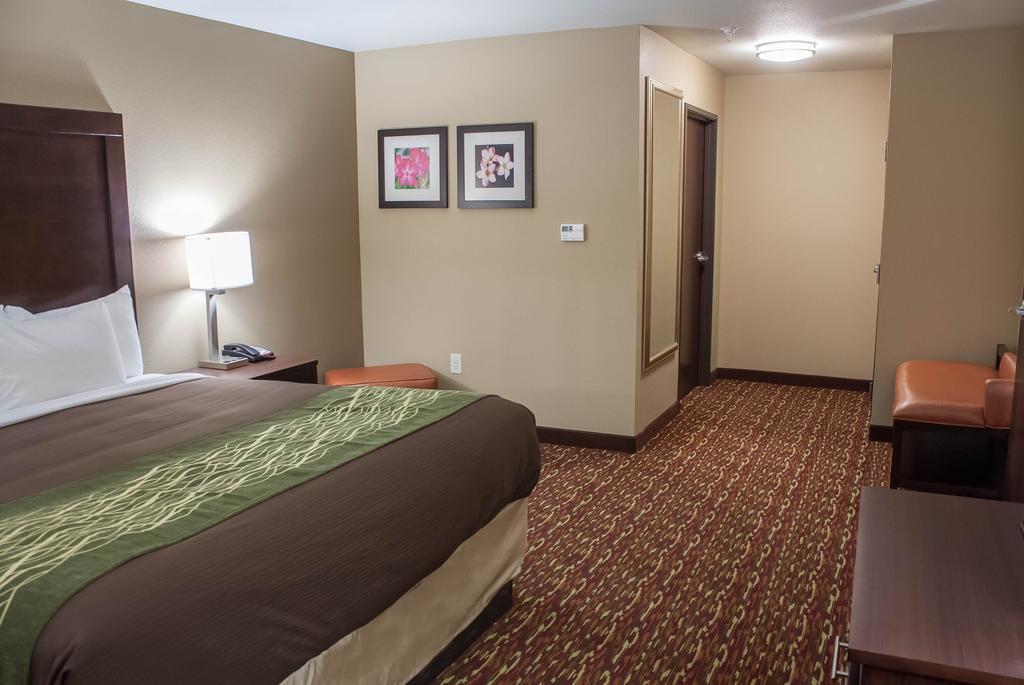 Comfort Inn&Suites Artesia Zimmer foto