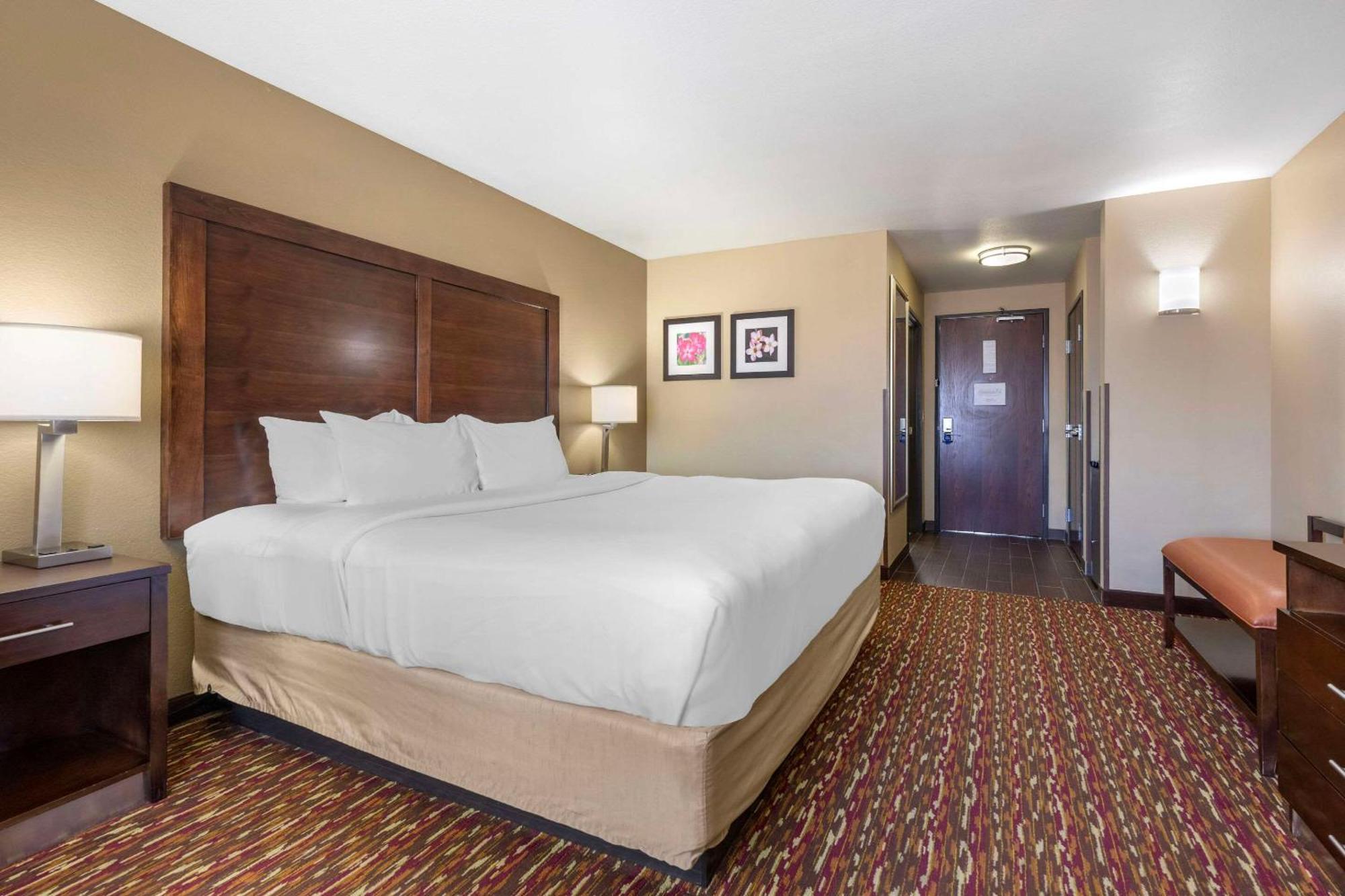 Comfort Inn&Suites Artesia Exterior foto