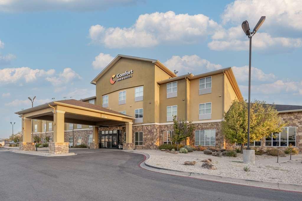 Comfort Inn&Suites Artesia Exterior foto
